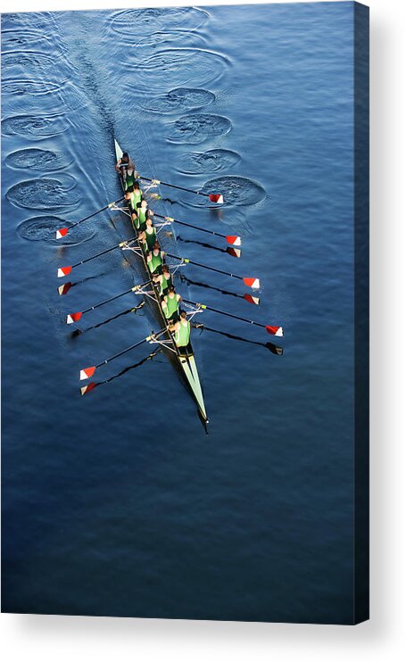 Viewpoint Acrylic Print featuring the photograph Crew Team Rowing by Fuse