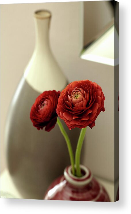 Ip_13534565 Acrylic Print featuring the photograph Cut Flowers In Vase Of Brighton Home, East Sussex, England, Uk by Alun Narratives / Callender