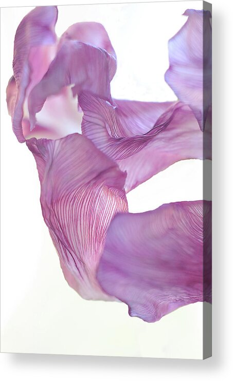 Minimal Acrylic Print featuring the photograph Dance in the Wind by Michelle Wermuth
