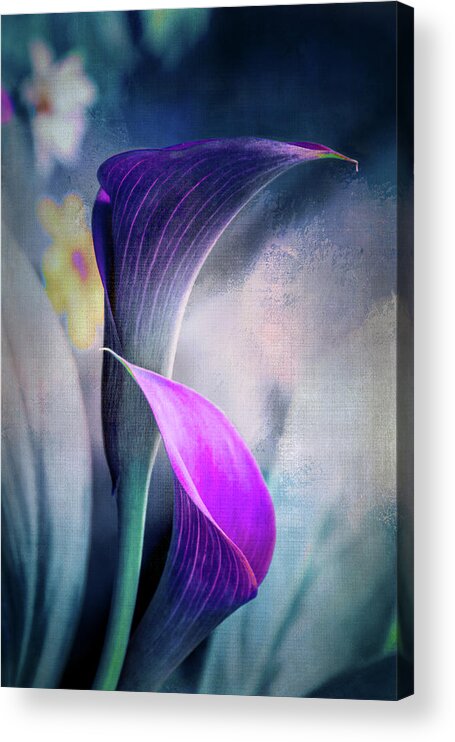 Callalilies Acrylic Print featuring the digital art Dark Textured Lilies by Terry Davis