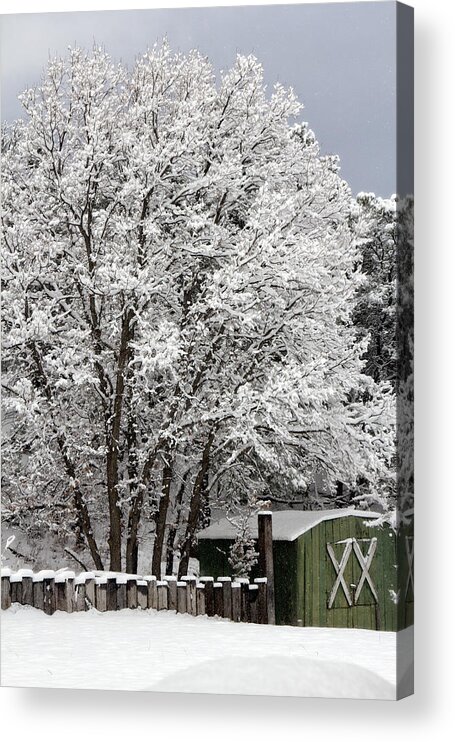 December Acrylic Print featuring the photograph December 26th by Diana Powell