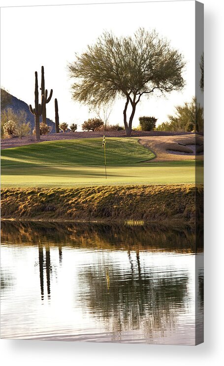 Saguaro Cactus Acrylic Print featuring the photograph Desert Golf Hole In Phoenix Area by Imaginegolf