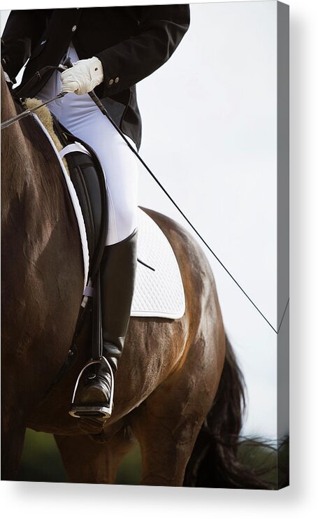 Horse Acrylic Print featuring the photograph Detail Of Female Dressage Rider On Horse by Lea Roth