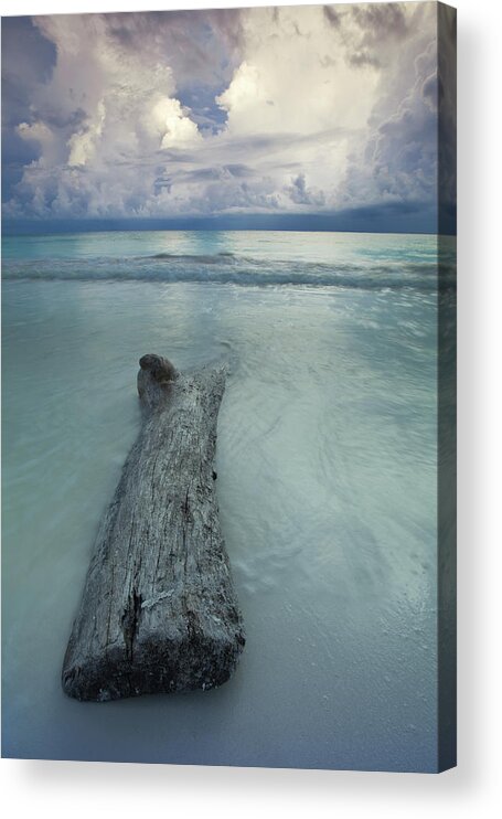 Scenics Acrylic Print featuring the photograph Driftwood On Maroma Beach At Sunset by J. Andruckow