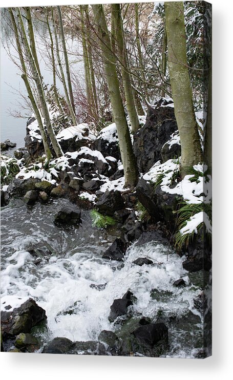 Winter Snow Acrylic Print featuring the photograph End of Winter by Bonnie Bruno
