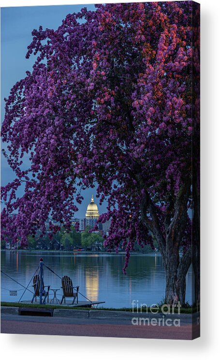 Redbud Acrylic Print featuring the photograph Relaxing Evening with a View by Amfmgirl Photography