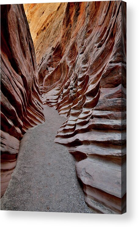 Little Wild Horse Canyon Acrylic Print featuring the photograph Erosion in Little Wild Horse Canyon in Utah by Ray Mathis