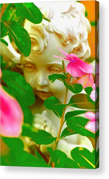 Impatiens Acrylic Print featuring the photograph Face of an Angel by Debra Grace Addison