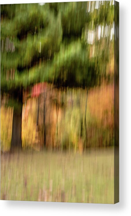 Abstract Acrylic Print featuring the photograph Fall Abstract #3 by Patricia Dennis