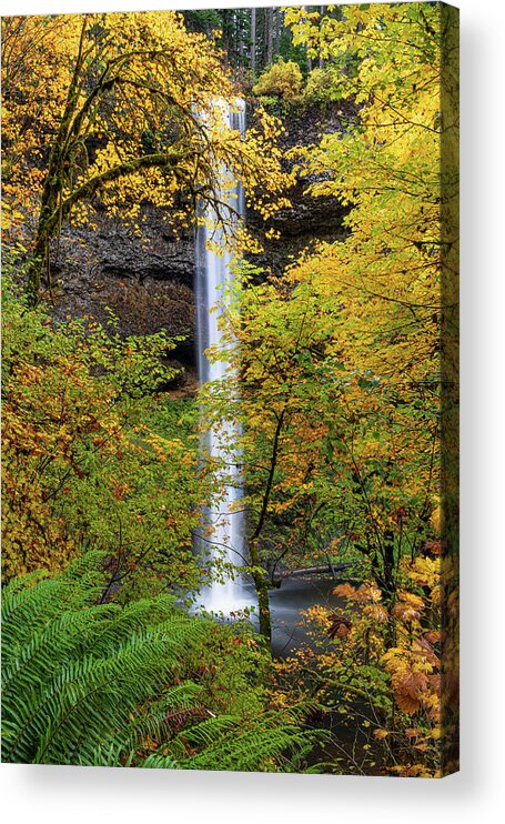 Silver Falls Acrylic Print featuring the photograph Fall colors at the Southfalls by Ulrich Burkhalter