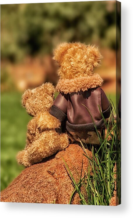 Bear Acrylic Print featuring the photograph Fatherhood - The Bearfoot Society by Doreen Erhardt