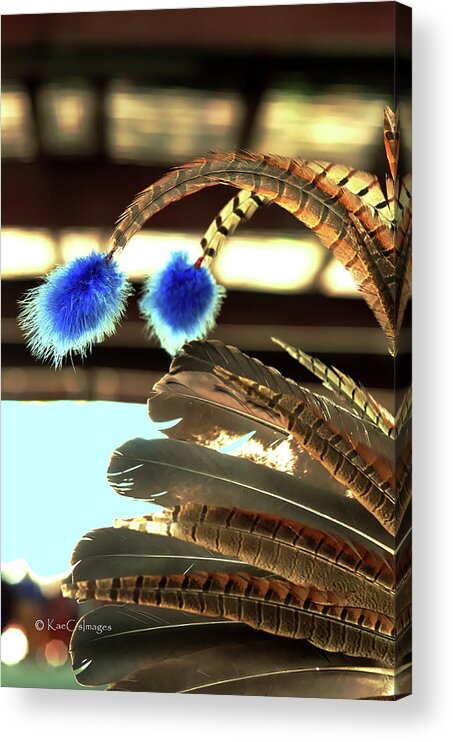 Feathers Acrylic Print featuring the photograph Feathers of a Headdress by Kae Cheatham