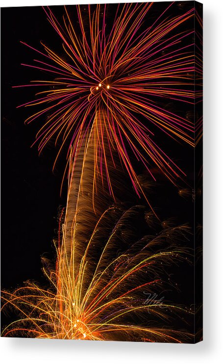 Fireworks Acrylic Print featuring the photograph Fireworks Palm Tree by Meta Gatschenberger