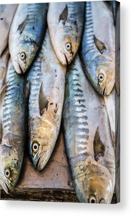 Agadir Acrylic Print featuring the photograph Fish In Market, Taghazout, Morocco by Tim E White