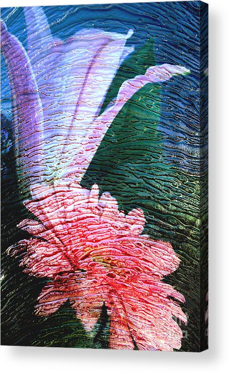 Pink Acrylic Print featuring the photograph Flowers by Katherine Erickson