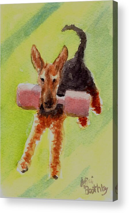 Airedale Acrylic Print featuring the painting Flying Dale by Mimi Boothby