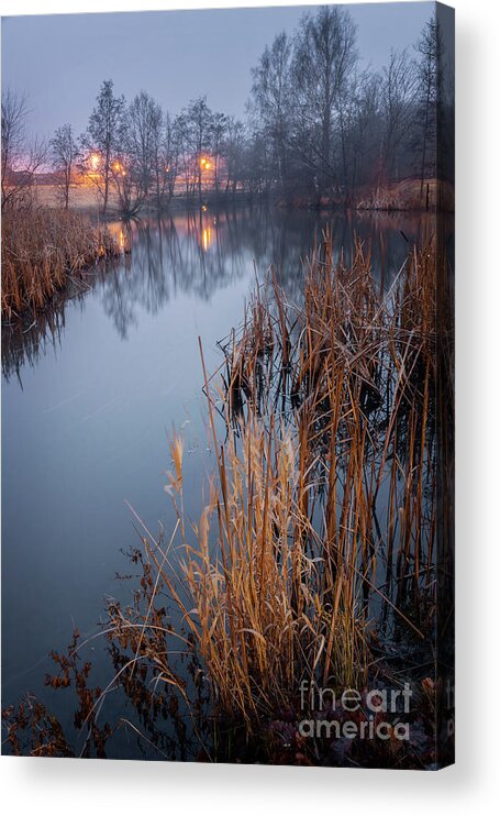Sweden Acrylic Print featuring the photograph Foggy pond landscape in evening by Sophie McAulay