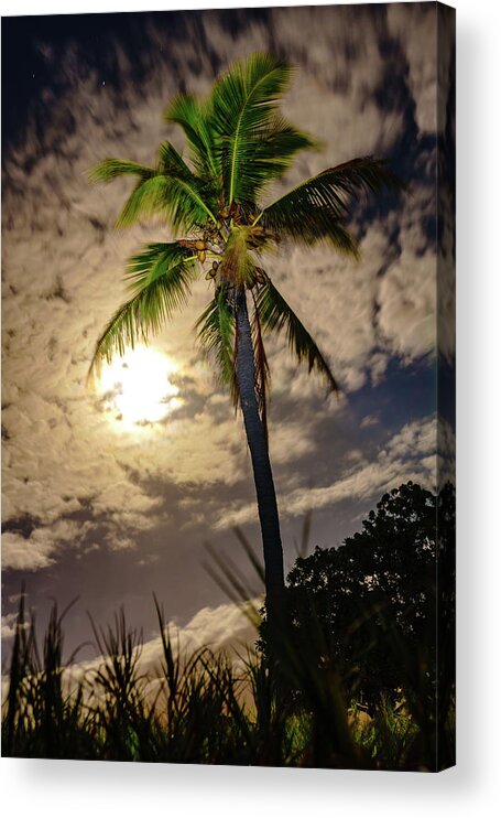 Hawaii Acrylic Print featuring the photograph Full Moon Palm by John Bauer