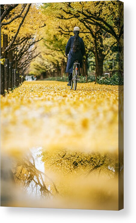 Trees Acrylic Print featuring the photograph Ginkgo Promenade After Rain by Yuzo Fujii