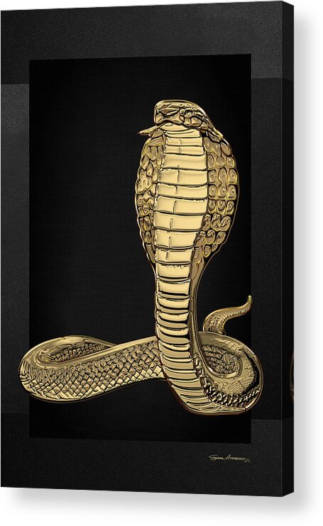 'beasts Creatures And Critters' Collection By Serge Averbukh Acrylic Print featuring the digital art Gold King Cobra on Black Canvas by Serge Averbukh