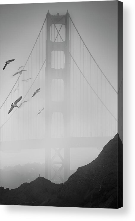 Golden Gate Pier And Birds Ii
San Francisco Acrylic Print featuring the photograph Golden Gate Pier And Birds II by Moises Levy