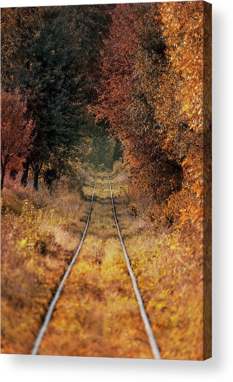 Tunnel Acrylic Print featuring the photograph Golden tunnel by Jaroslaw Blaminsky