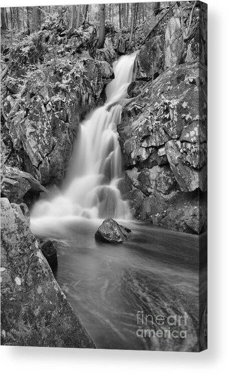 Goldmine Brook Falls Acrylic Print featuring the photograph Goldmine Brook Falls Cascades Black And White by Adam Jewell