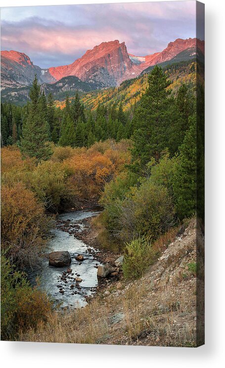 Rocky Mountain National Park Acrylic Print featuring the photograph Hallette Peak Autumn by Aaron Spong
