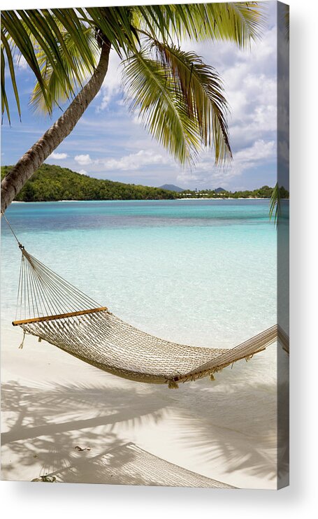 Water's Edge Acrylic Print featuring the photograph Hammock Hung On Palm Trees On A by Cdwheatley