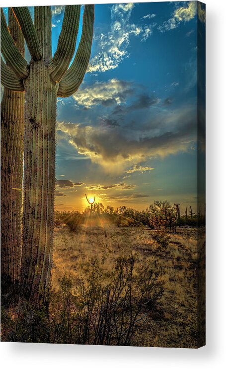 Desert Acrylic Print featuring the photograph Holding the Sun by Laura Hedien