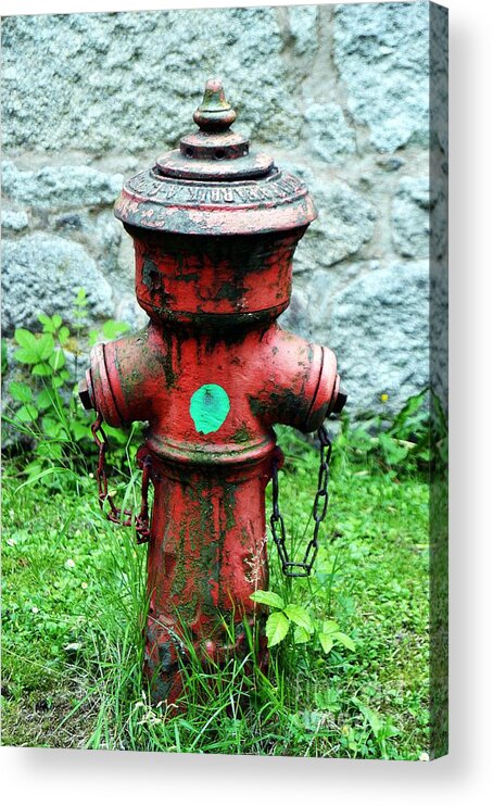 Hydrant Acrylic Print featuring the photograph Hydrant by Thomas Schroeder