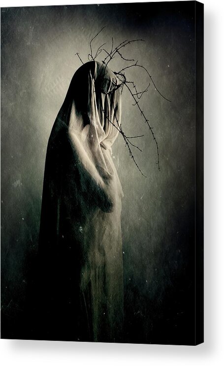 Mood Acrylic Print featuring the photograph In Between The Light And Shadows by Olga Mest