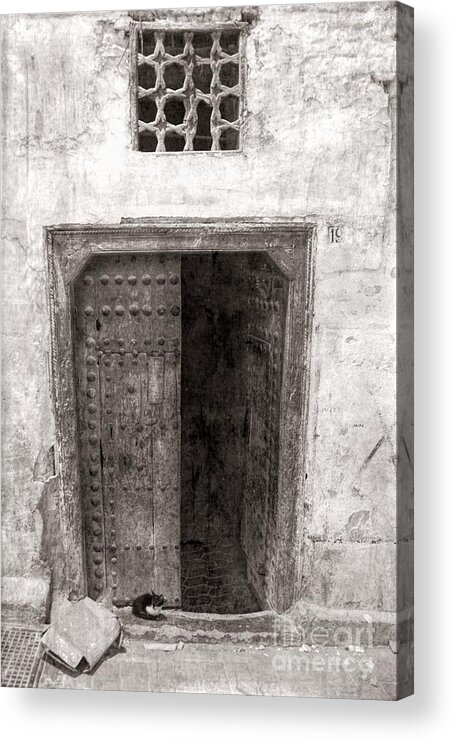 Morocco Acrylic Print featuring the photograph Kitten Old Ancient Door Fes Morocco by Chuck Kuhn