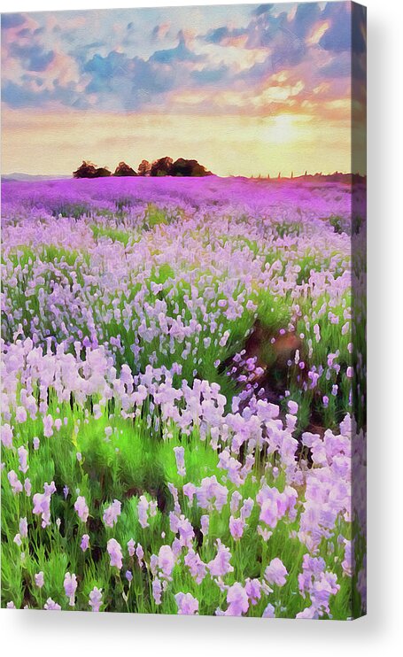 Lavender Acrylic Print featuring the painting Lavender fields - 16 by AM FineArtPrints