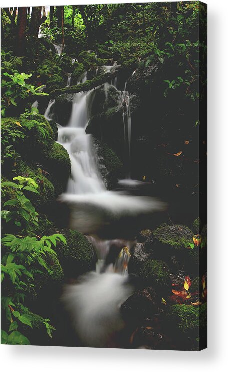 Oahu Acrylic Print featuring the photograph Let Your Heart Decide by Laurie Search