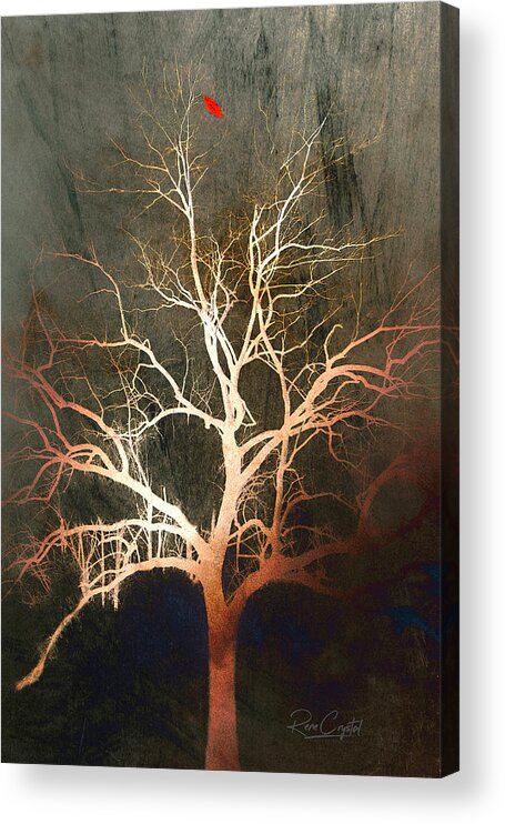 Trees Acrylic Print featuring the photograph Letting Go Is Hard by Rene Crystal