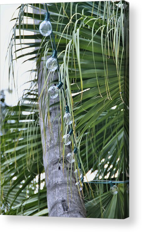 Art Acrylic Print featuring the photograph Lights Fronds Action by JAMART Photography