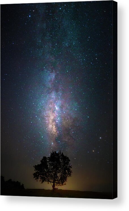 Milky Way Acrylic Print featuring the photograph Lone Tree Milky Way by Mark Andrew Thomas