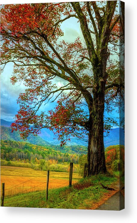 Appalachia Acrylic Print featuring the photograph Majestic by Debra and Dave Vanderlaan