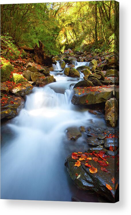 Scenics Acrylic Print featuring the photograph Maple Leaves Fallen On Rocks Of by Higrace Photo