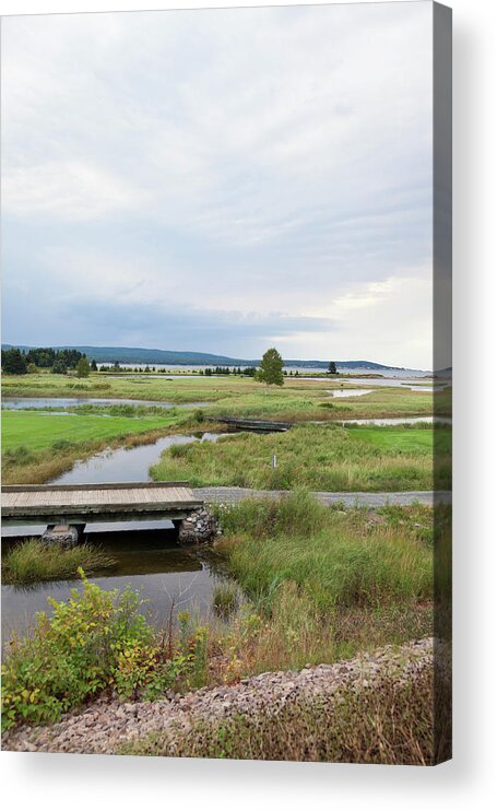 Ip_10310048 Acrylic Print featuring the photograph Marshland In Highlands National Park Of Canada At Cape Breton Island, Canada by Jalag / Arthur F. Selbach