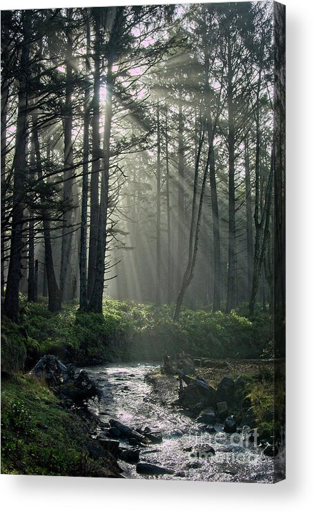 Fog Acrylic Print featuring the photograph Morning Mist by Craig Leaper