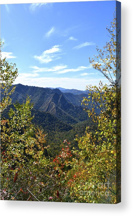 Mount Leconte Acrylic Print featuring the photograph Mount LeConte 6 by Phil Perkins
