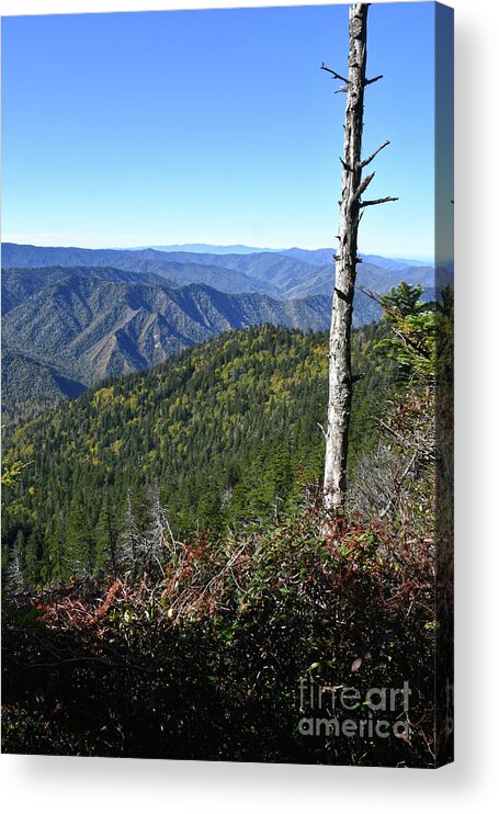 Mount Leconte Acrylic Print featuring the photograph Mount LeConte 8 by Phil Perkins