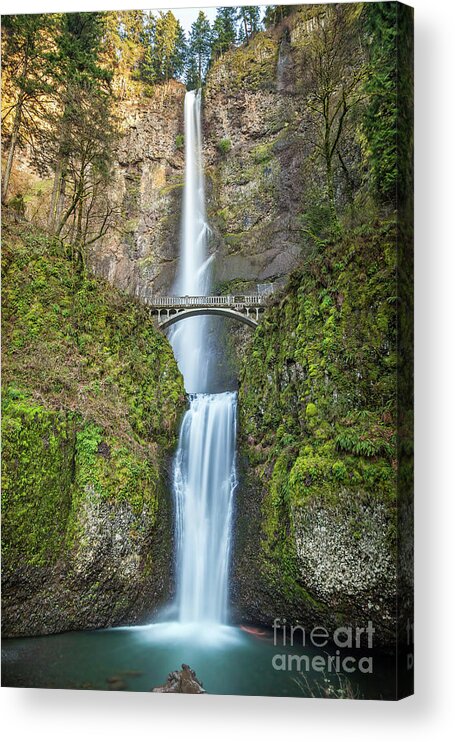 Scenics Acrylic Print featuring the photograph Multnomah Falls, Oregon, Usa by Jake Knapp