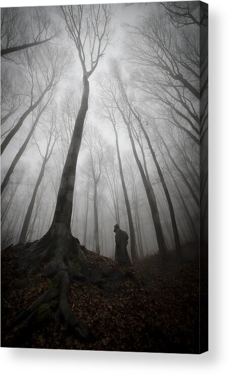 Silhouette Acrylic Print featuring the photograph Mysterious Silhouette Under Giant Tree by Photocosma