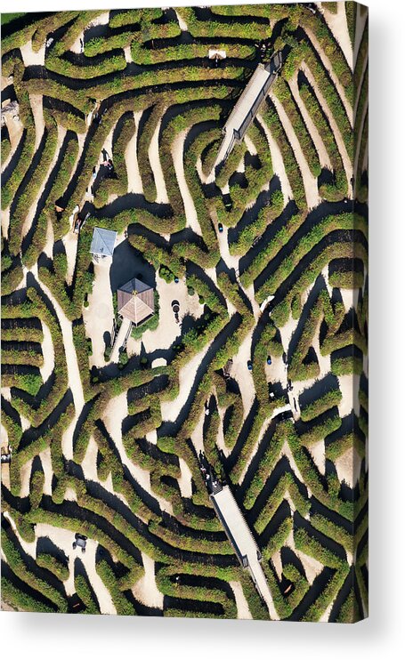 Topiary Acrylic Print featuring the photograph Netherlands, Vaals, Labyrinth by Frans Lemmens
