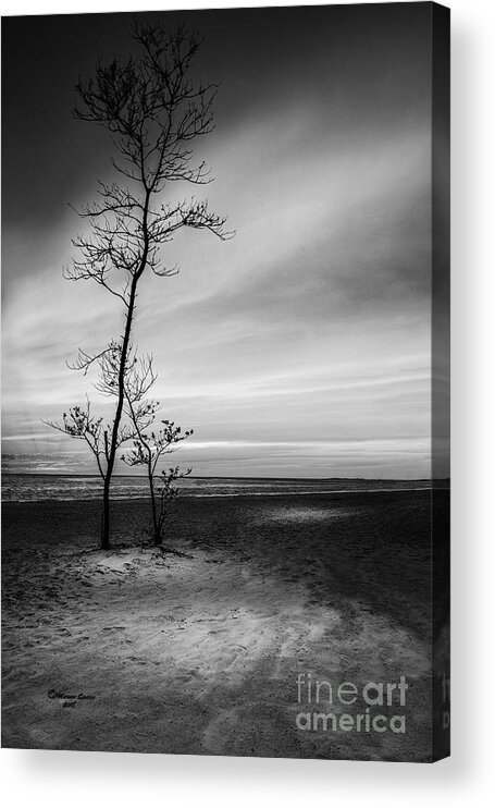 Coast Acrylic Print featuring the photograph Night Fall by Marvin Spates