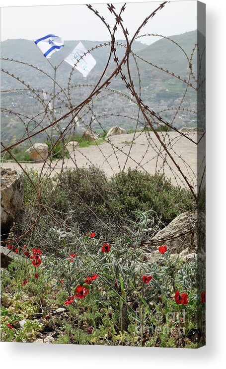 Controversial Acrylic Print featuring the photograph Occupied Territory by Science Photo Library