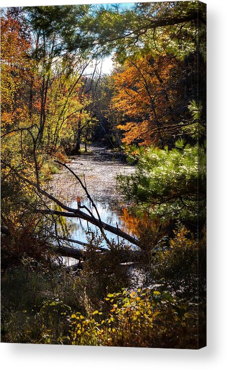 Queensbury Acrylic Print featuring the photograph October window by Kendall McKernon